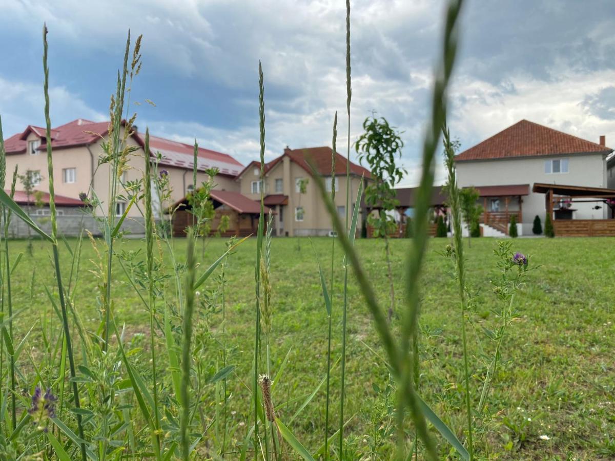 Absolut Residence Hateg Bagian luar foto