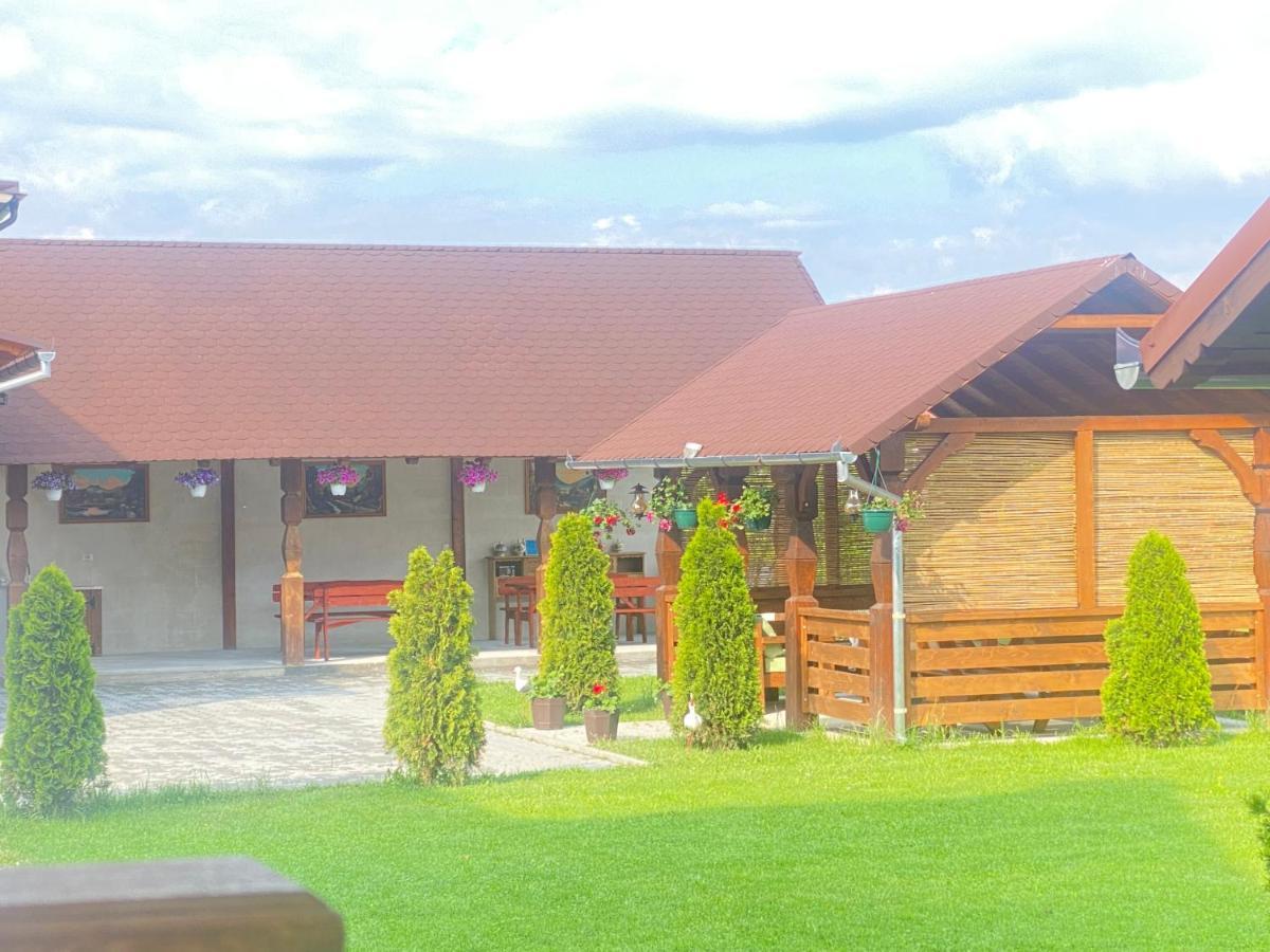 Absolut Residence Hateg Bagian luar foto